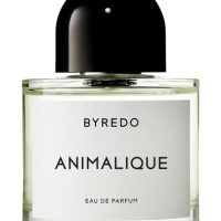Fragrance >  Women Fragrances >  Fragrance For Women