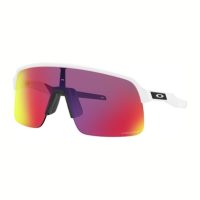 Accessories >  Sunglasses >  Mens Sunglasses