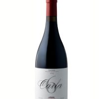 Wine >  Red Wine