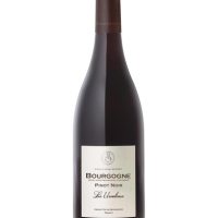 Wine >  Red Wine