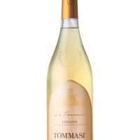 Wine >  White Wine