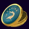Sturgeon Caviar (SILVER LINE) In Glass Or Can 100g - Image 4